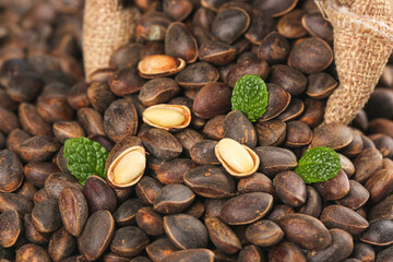 Fresh Pine Nuts from Yunnan Mountains with Mint Leaves in Rustic Burlap Sack