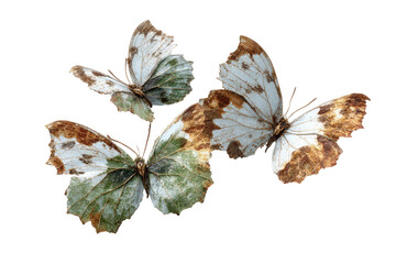 Three faded butterflies in flight against a black background