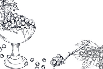 Vector frame viburnum jam, viburnum, bowl with berries, teaspoon with jam, leaves. All objects are hand-drawn with ink. The illustration is suitable for decorating the packaging of products, goods. 