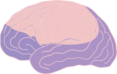 Minimalist brain illustration in soft pastel pink and purple tones ideal for educational, mental health, psychology, or mindfulness themes in a clean flat style.