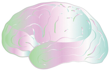 Pastel Colored Human Brain 