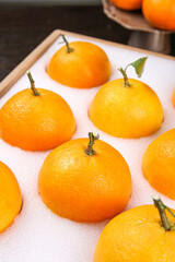 Fresh Orange Citrus Fruits in White Gift Box with Natural Stems and Leaves