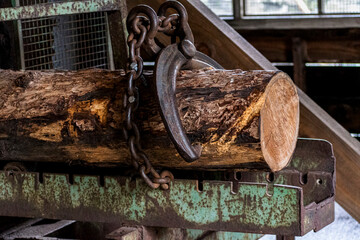 sawing tree trunk with vintage iron rusty tools at old traditional sawmill, selective focus