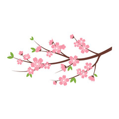 Cherry Blossom Sakura Vector, Minimal Japanese Flower Illustration, Spring Floral Icon, Flat Nature Clipart Isolated on White