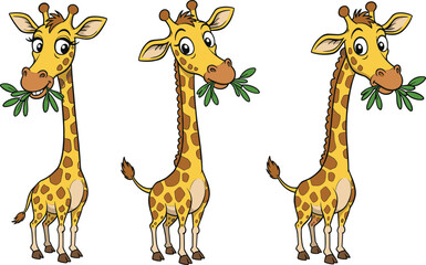 Obraz premium Cute cartoon giraffe illustration with three different poses eating green leaves, funny animal character vector art for children, wildlife theme