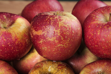 Fresh Organic Apples with Natural Blemishes from Xinjiang China - Authentic Fruit Variety