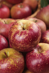 Fresh Xinjiang Apples with Natural Red and Yellow Speckled Skin Pattern