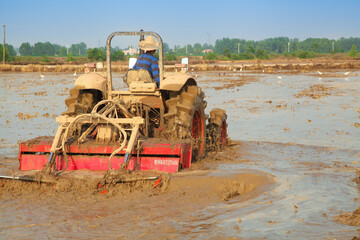 Obraz premium Farmer on Tractor Planting Rice in Flooded Paddies - Agricultural Field Preparation for Grain Growth