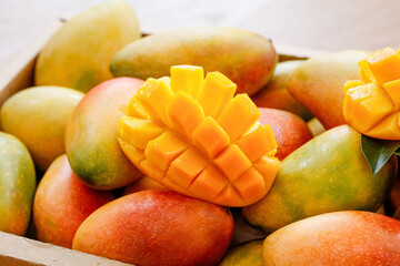 Fresh Ripe Hainan Guifei Mangoes Cut in Cubes Display Colorful Tropical Fruit