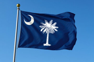 South Carolina state flag waving in the wind

Palmetto tree and crescent moon on the South Carolina flag