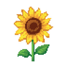 Pixel art illustration of a bright yellow sunflower with green leaves and a brown center, isolated on a white background, 8-bit retro style.