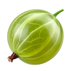 Naklejka premium “Single Ripe Gooseberry with Stem, isolated on transparent background”.