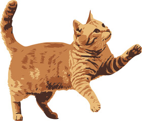 vector ginger cat isolated on white