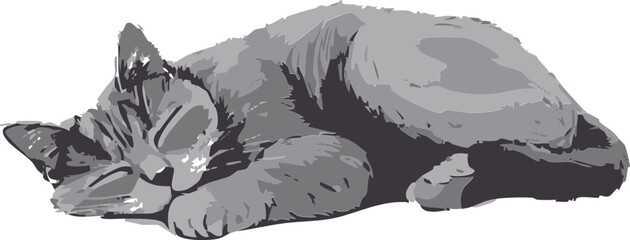 vector grey cat sleeping