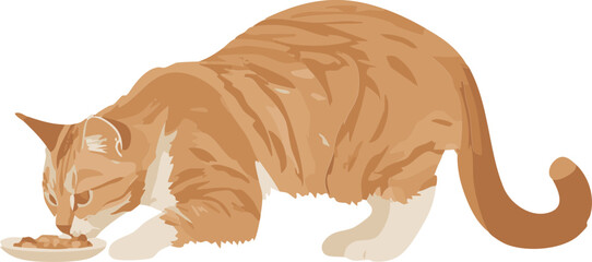 vector illustration of a cat