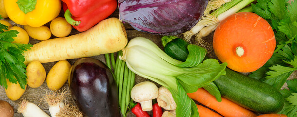 Viele gesunde und vitaminreiche Gemüsearten liegen zusammen als Symbolbild für regionalen Bio-Anbau