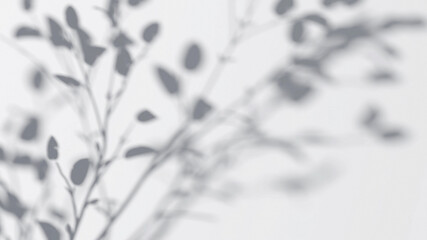 Abstract tree branches shadow on wind background