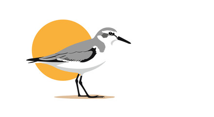 Obraz premium A small shorebird stands on a sandy beach in front of a large orange sun.