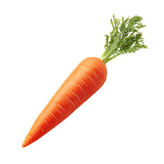 Single carrot on white background.