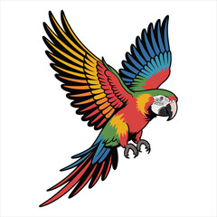 Vibrant macaw parrot in mid flight with wings spread wide