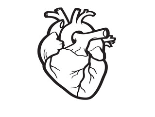 Heart surgery medical illustration in clear outlined vector design