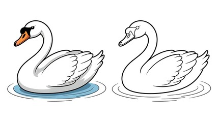 Elegant swan vector illustration featuring a colored and a line art version for coloring books and educational activities