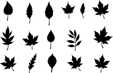 Obraz premium Autumn Silhouettes of Assorted Leaf Shapes Vector Bundle