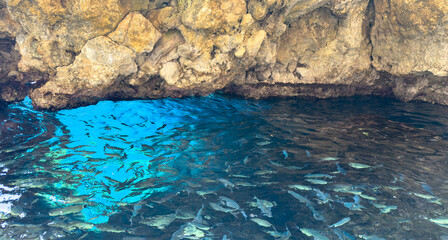 School of fish swims in clear blue sea water at the Blue Eye Cave in Paleokastritsa, Corfu Island, Greece, above view