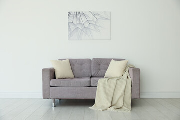 Comfortable gray sofa with blanket and cushions in room. Interior design