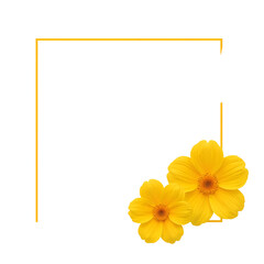 Obraz premium yellow flowers and blank paper