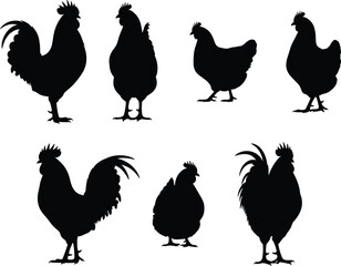 Black chicken and rooster farm bird silhouettes vector illustration set, poultry animal clipart collection for agriculture, livestock, rural design projects