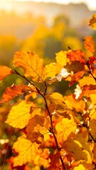 Fototapeta premium Autumn leaves in vibrant hues