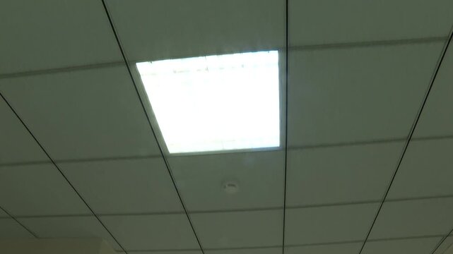 A bright, rectangular fluorescent light panel integrated into a modern suspended ceiling grid. This clean, functional lighting is common in offices, schools, and commercial spaces.