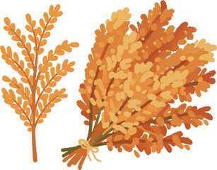 Autumn harvest of wheat and rye stalks in warm orange tones