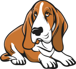 cute dog - loyal forever friends of a human