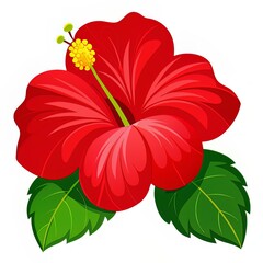 red hibiscus flower