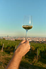Photo of a male hand holding a glass of white wine against blue sky. Soft sunlight highlights vineyard atmosphere with distant view of Vienna, creating relaxed, elegant wine lifestyle mood.