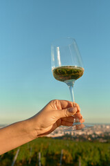 Vertical photo of a female hand with long nude nails holding a white wine glass above vineyard rows. Warm sunlight and blue sky create cozy, romantic, and elegant outdoor wine atmosphere.