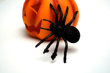 Halloween pumpkin lantern with black spider climbing on surface symbolizing creepy horror decoration, fear, and spooky festive mood.