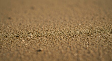 Close-up view of wet sand.  Fine-grained texture