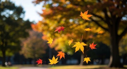 Colorful autumn maple leaves floating in the air, blurred park background