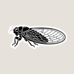 Detailed black and white illustration of a cicada insect