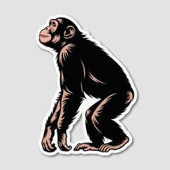 Illustration of a chimpanzee sitting and looking up