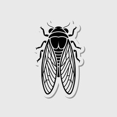 Black and white illustration of a cicada insect with detailed wings