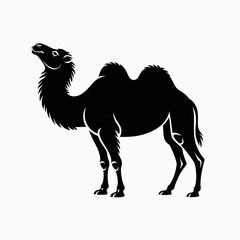 Black silhouette of a dromedary camel standing against a white background
