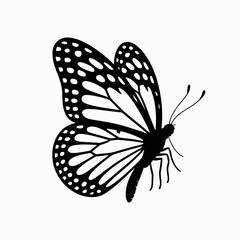 Monarch butterfly silhouette with detailed wing patterns