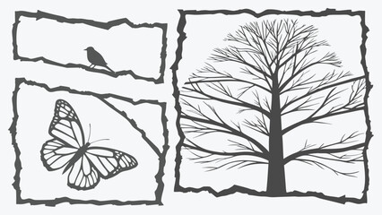 Ripped Paper Shapes with Torn Edges, Jagged rectangle. Set of Paper torn, and Rough edge rectangle frame Isolated on White Background Vector Illustration