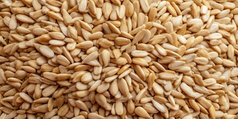 Fototapeta premium Toasted Sunflower Seeds in Close-Up View