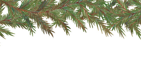 Border from spruce branches. Watercolor isolated illustration. Elements for architectural sketches, magazines, Christmas greeting cards. Forest objects and plants in color illustration