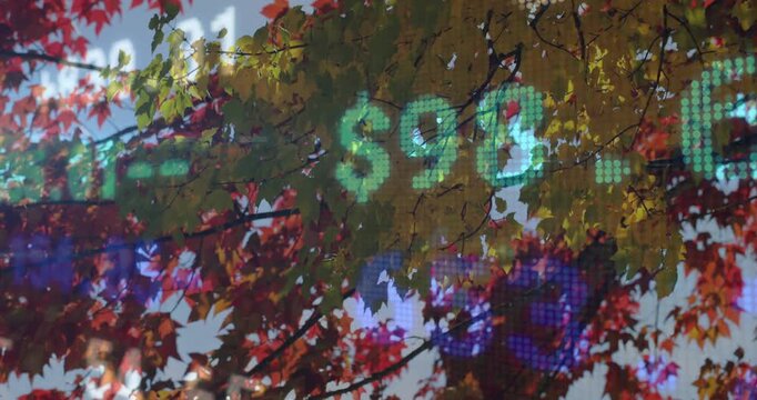 Translucent green financial ticker starting at 54